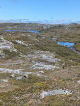 ../../img/arrivalnewfound/hike.jpg