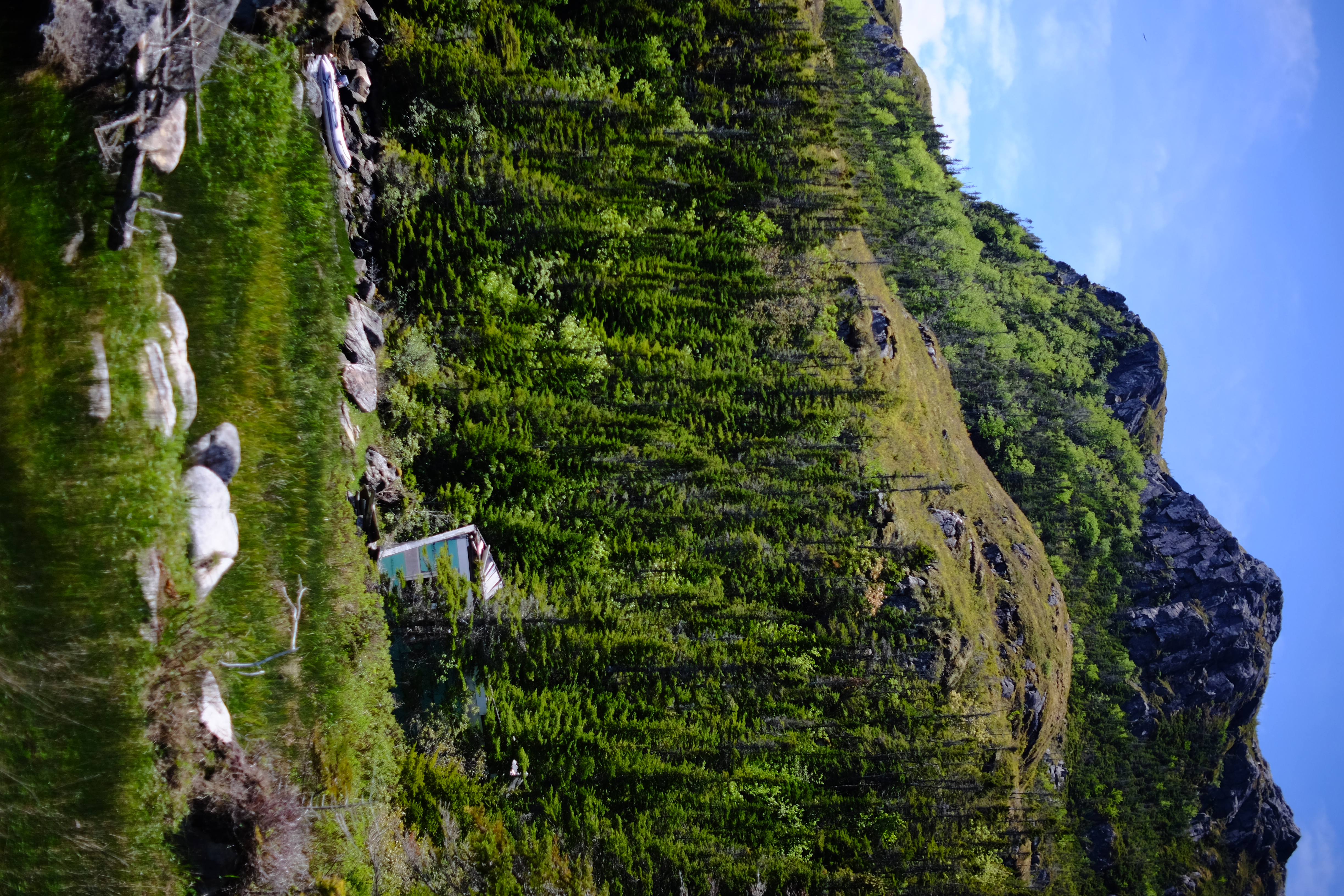 ../../img/newfoundlandsouth/lecoumount.jpg