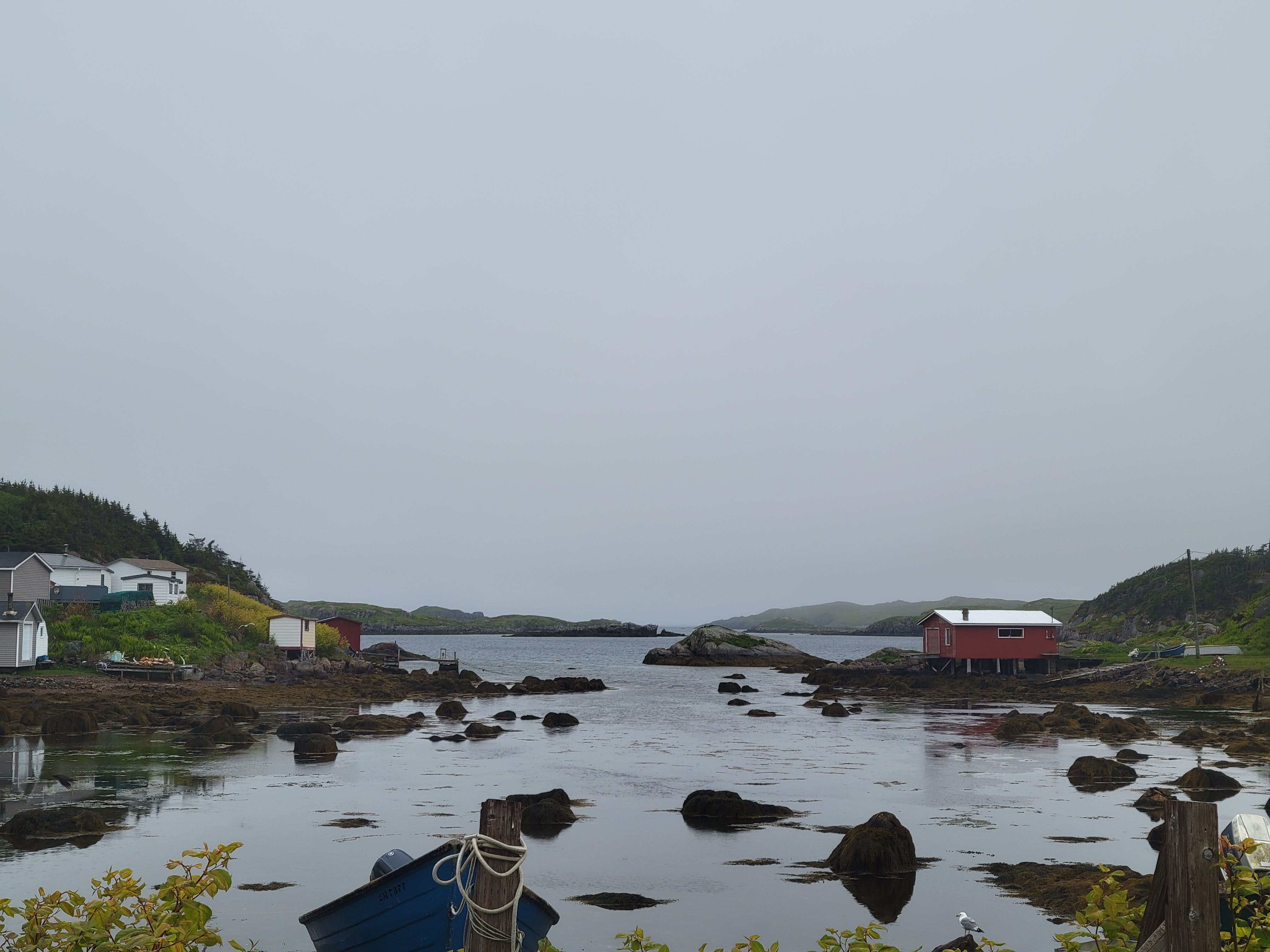 ../../img/newfoundlandsouth/rameais.jpg