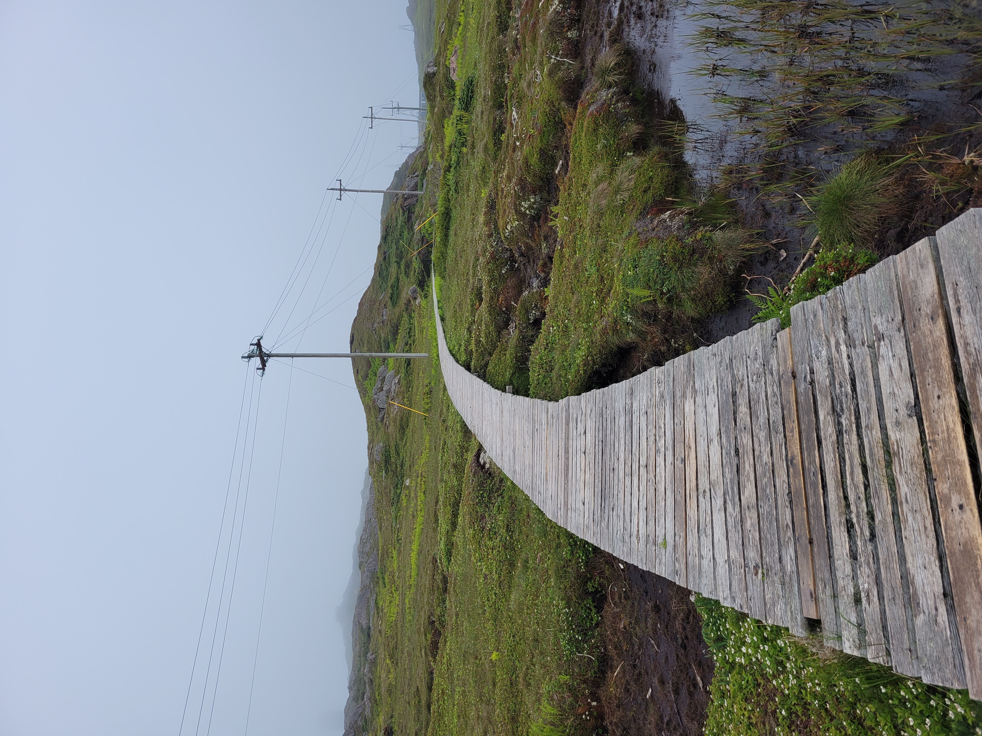 ../../img/newfoundlandsouth/rameatrail.jpg ../../img/newfoundlandsouth/rameatrail.jpg
