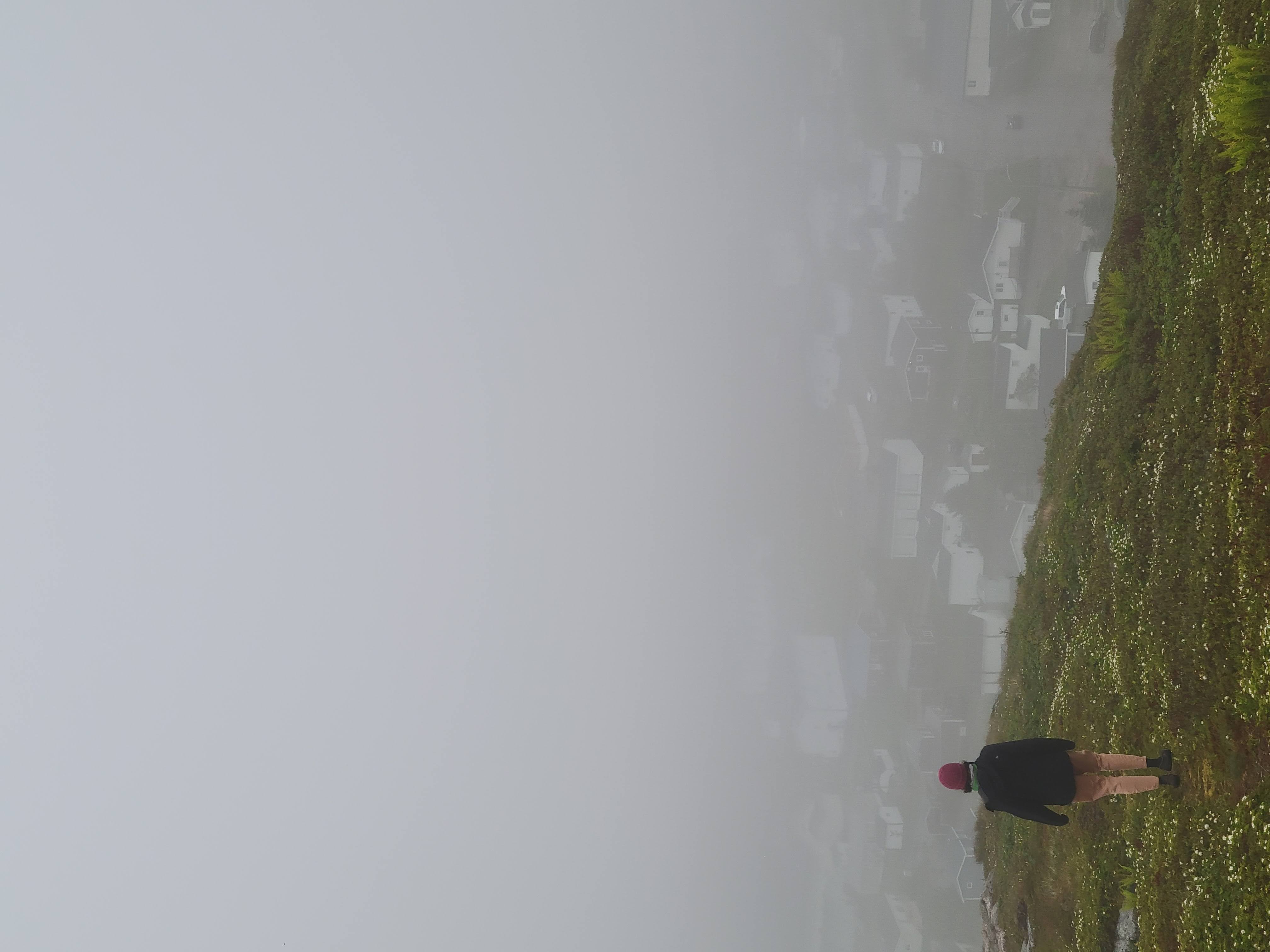 ../../img/newfoundlandsouth/rameaview.jpg